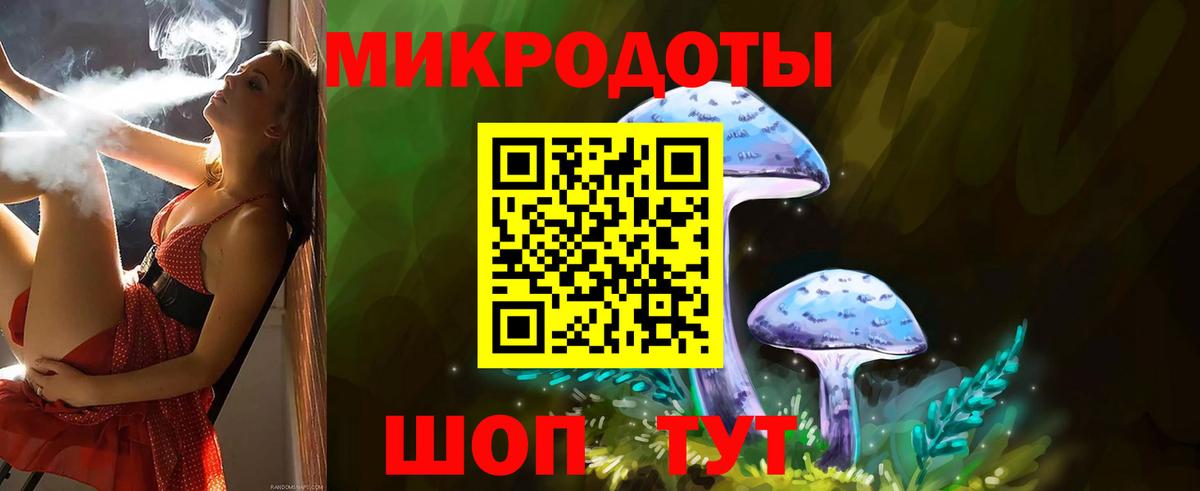 Псилоцибиновые грибы Psilocybe Елизово